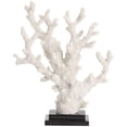 thumbnail image 2 of Crestview Collection Resin Natural Coral Statue in White, 2 of 8
