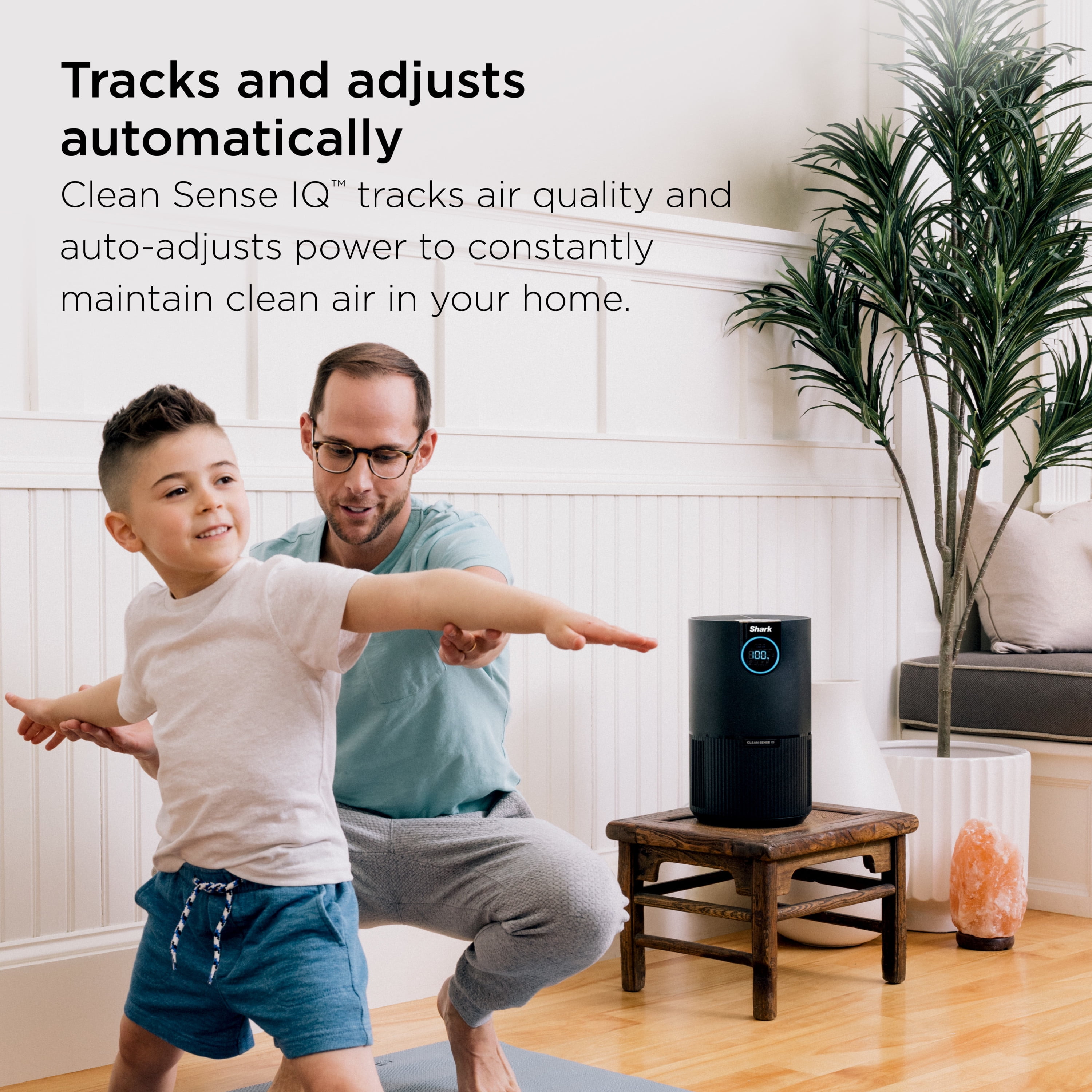 Shark 500 Sq Ft True HEPA Air Purifier, NanoSeal, Clean Sense IQ Technology, Captures Pet Hair, Pet Dander, Allergens, HP100 Charcoal Gray
