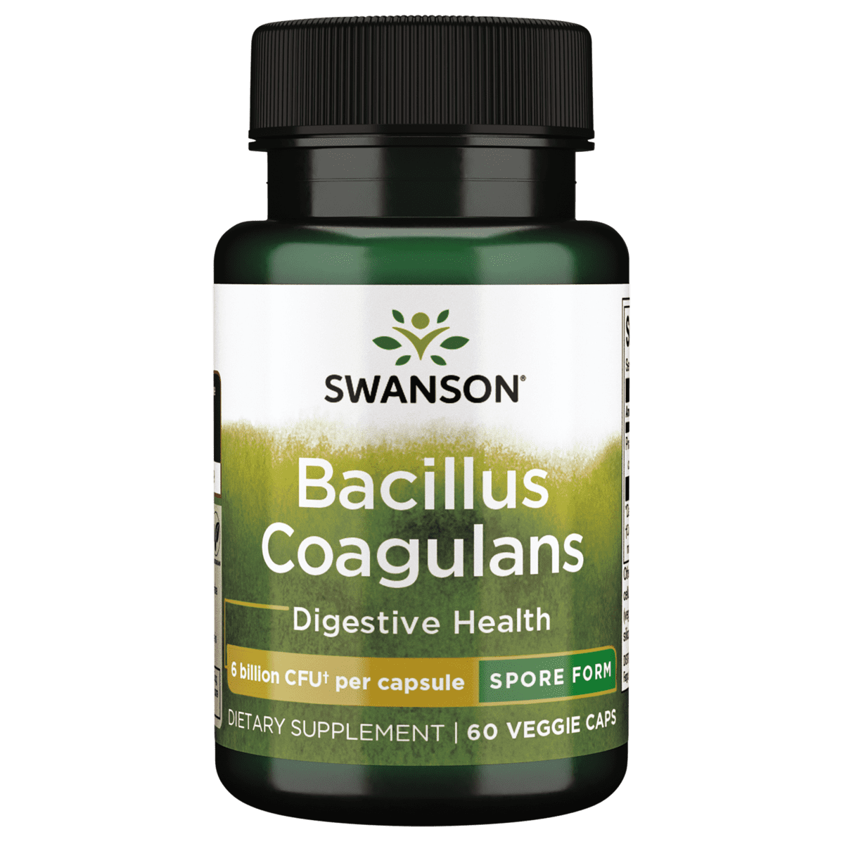 Swanson Bacillus Coagulans - Probiotic Supplement Supporting Digestive Health with 6 Billion CFU - Natural GI Health Support - (60 Veggie Capsules)