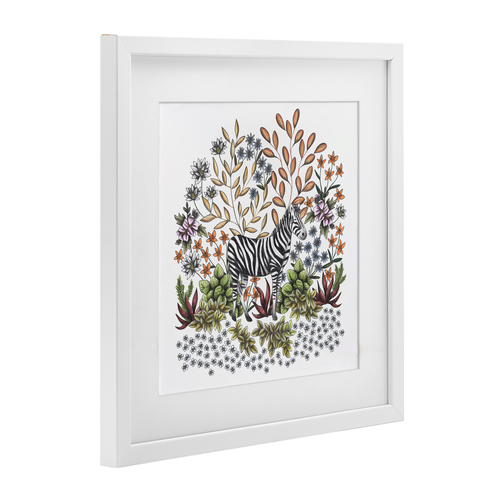 Jungle Wildlife Zebra White Framed Print Under Glass, design by Cecilia Battaini