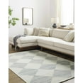 thumbnail image 2 of BoutiqueRugs Rakin Bohemian, Transitional Area Rug - Pearl, Light Silver, Ivory - 8' x 10', 2 of 7