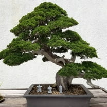 FELTECHELECTR Japanese Style Mini Statue Stone Garden Decor Indoor Use 3Pcs 2.4X0.9X0.9In