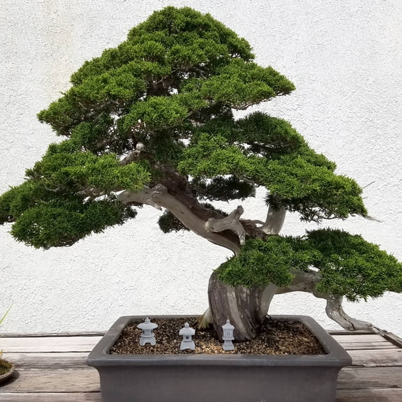 FELTECHELECTR Japanese Style Mini Statue Stone Garden Decor Indoor Use 3Pcs 2.4X0.9X0.9In