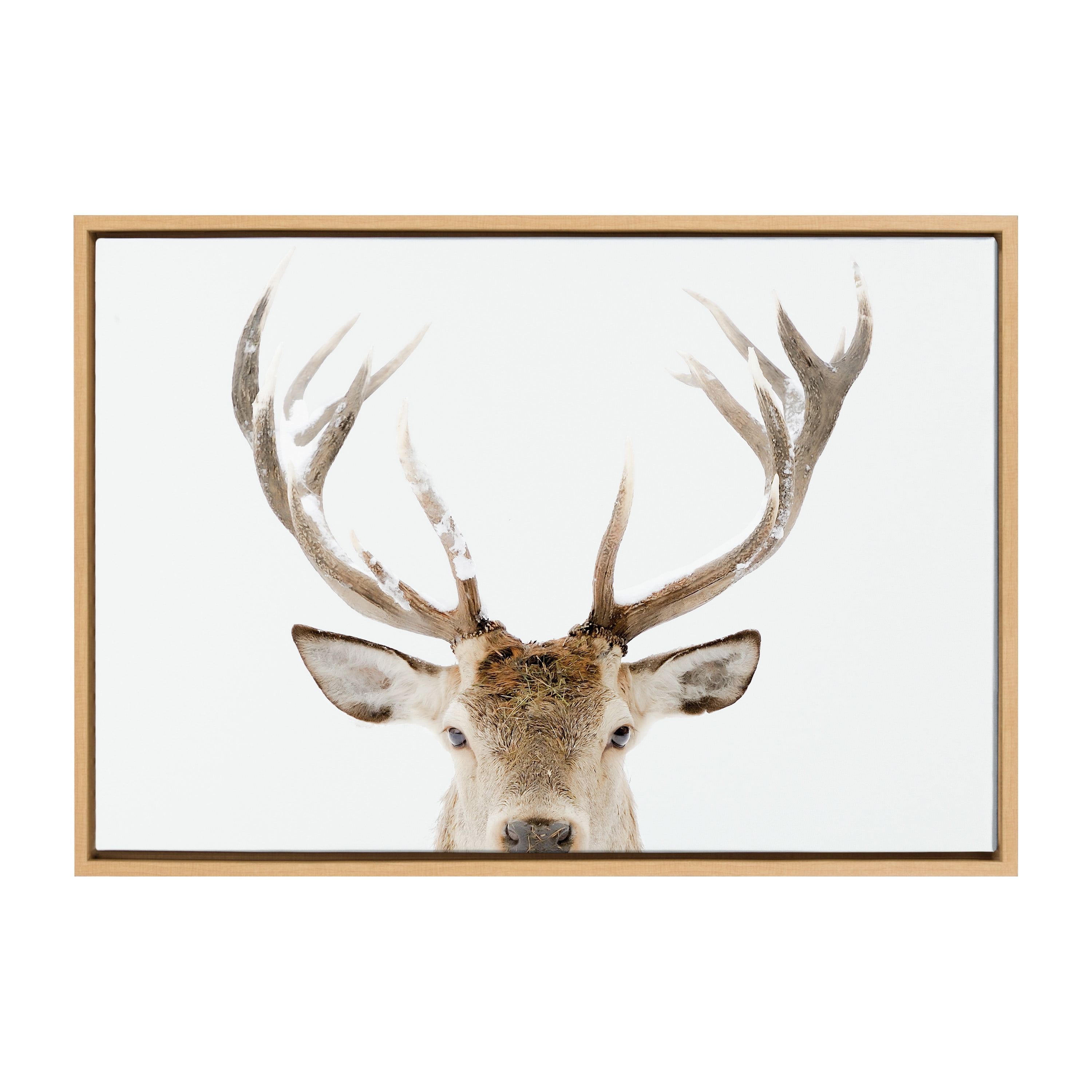 18 X 24 Sylvie Stag Profile Framed Canvas By Amy Peterson Art Studio  Natural - Kate & Laurel All Things Decor : Target