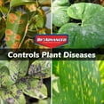 thumbnail image 4 of BioAdvanced 701290B Insecticide Fungicide Miticide 3-in-1 Insect, Disease & Mite Control, 24 oz, Ready-to-Use, 4 of 9