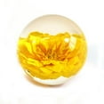 thumbnail image 1 of Real Rose Globe, Yellow, 1 of 1