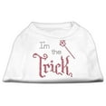 thumbnail image 2 of Halloween Pet Dog  Cat Shirt Rhinestone,"I'm the Trick", 2 of 7