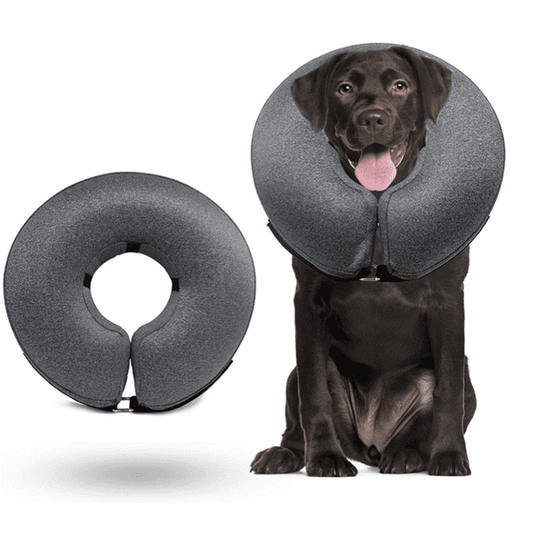 Dog Cone for After Surgery, Adjustable Protective Recovery Dog Collar