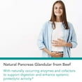 thumbnail image 3 of NutriCology Pancreas Lamb - Freeze Dried Pancreas Tissue - Supports Digestive System - Hypoallergenic Formula - 90 Servings - 90 Count, 3 of 7
