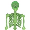 thumbnail image 4 of 5ft Bone Skeleton Glow In Dark, 4 of 4
