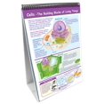 thumbnail image 2 of New Path Learning NP-346007 Middle School Life Science Flip- Chart Set, 2 of 2