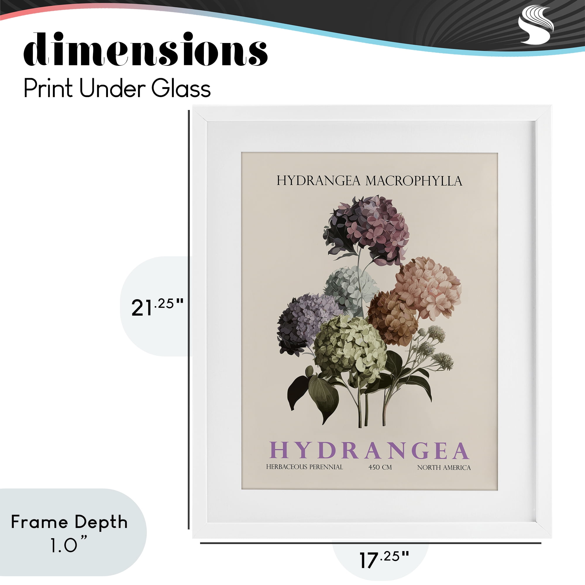 Stupell Industries Nature Hydrangea Bundle White Framed Print Under Glass, design by Christopher Giampietro