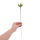 thumbnail image 5 of Greenadscape 50Jgo Accesorios De Rosas Artificiales Con Sépalos Y Base Para Ramos Y Manualidades, 5 of 8