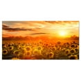 thumbnail image 2 of Yellow Sunset over Sunflowers, 2 of 3