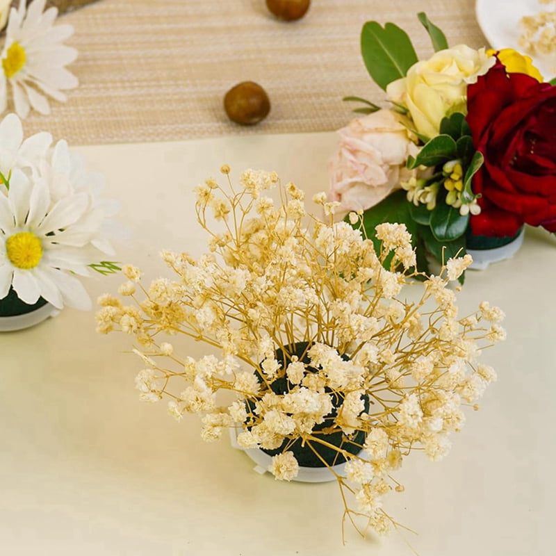 36 Pcs Mini Round Floral Foam Holder,Green Dry and Wet Florist Flower Block Craft Arrangement Supplies for Wine Bottle