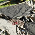 thumbnail image 5 of Adjustable Outdoor Camping Tent Ropes with Reflective Windproof Cord 8Pcs, 5 of 5