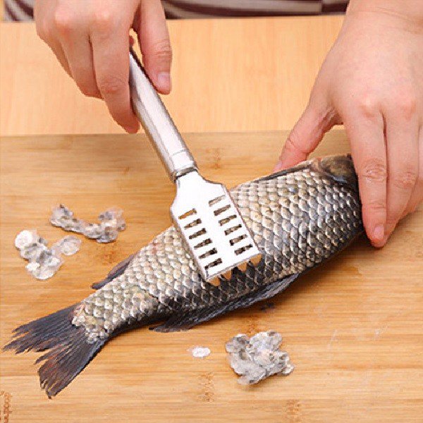 Stainless Steel Fish Scale Remover Cleaner Scaler Scraper Kitchen