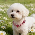 thumbnail image 6 of Cat Chain Collar with Cute Pet Paw & Metal Lock, Adjustable Sparkling Crystal Pet Necklace for Small Cats & Dogs, Rhinestones Jewelry Accessory Pink, 6 of 6