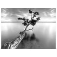thumbnail image 1 of Great BIG Canvas | Rolled Moises Levy Poster Print entitled Water Tree V, 1 of 4