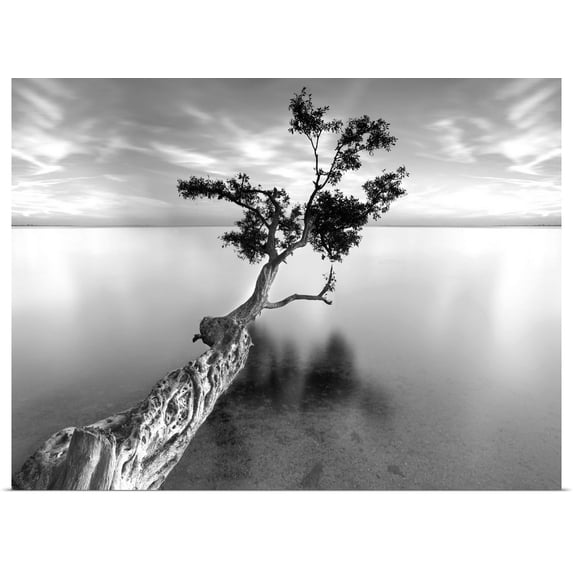 Great BIG Canvas | Rolled Moises Levy Poster Print entitled Water Tree V