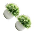 thumbnail image 2 of Wosthever 2 uds plantas de simulación en maceta de plástico que añaden belleza y estilo a cualquier entorno pastos falsos para decoración Decoración Blanco claro, 2 of 6