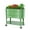 Olive, variant on Permasteel Self-Watering Garden Bed, Rolling Planter for Vegetables, Flowers, Herbs, and Fruit, Outdoor Indoor, Caster Wheels, Blue