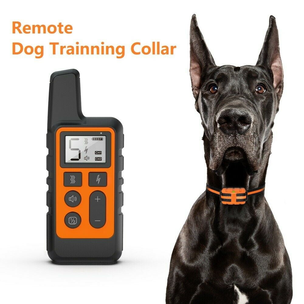 great dane bark collar