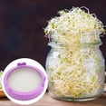 thumbnail image 4 of Sprouting Jar Lid, Strainer Screen Canning Jars, Mason Jar Sprout Lids, Mason Jar Strainer Lid, Sprouting Lids, Mason Jars Lids, Microgreens Growing Kit, Canning Lids, Sprouting Kit, Purple, 4 of 7