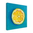 thumbnail image 2 of Trademark Fine Art Key and Sea Lemon Slice Canvas Wall Art, 2 of 4