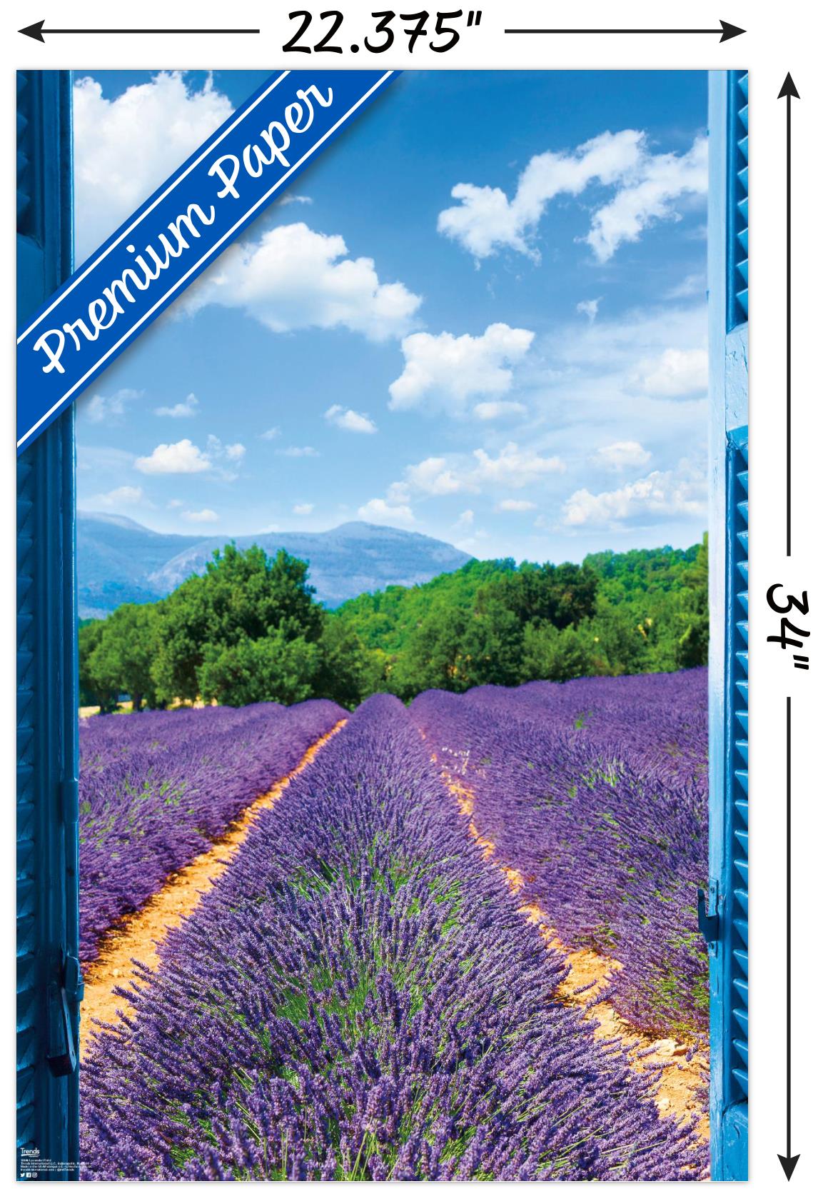 Lavender Field Wall Poster, 22.375" x 34"