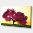 thumbnail image 2 of Cherry Blossom in Beautiful Garden - Landscape Canvas Art Print, 2 of 4