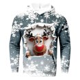 thumbnail image 2 of Chandail en Molleton pour Hommes, Couleur Unie Décontractée à Manches Longues avec Capuche, 2 of 4