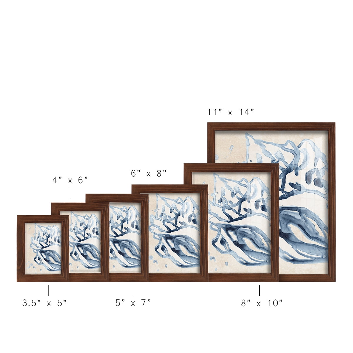 Water Shells II - Framed Print w/glass - Chestnut