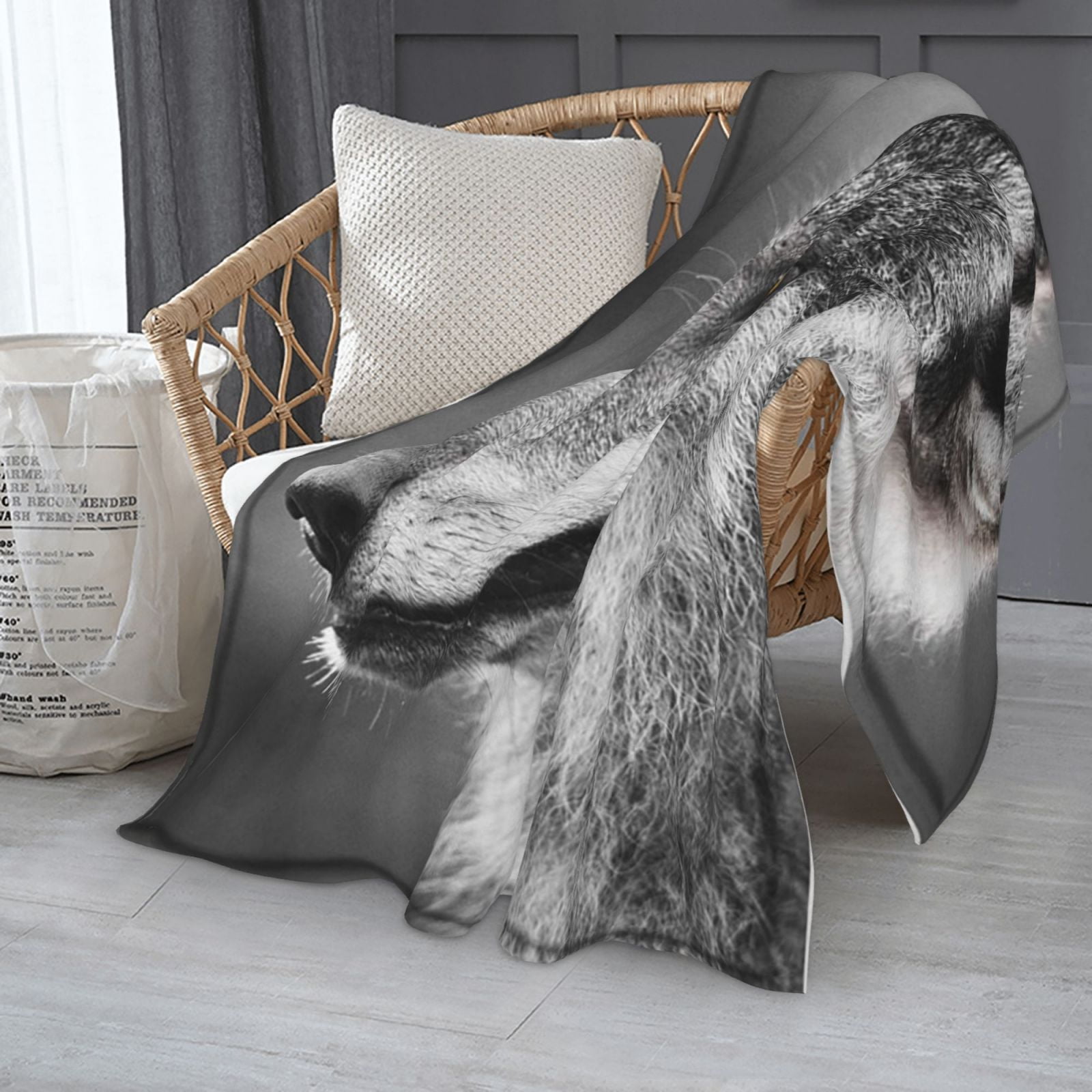 Throw Pillows For Grey Couch? We Got You! - Bryar Wolf