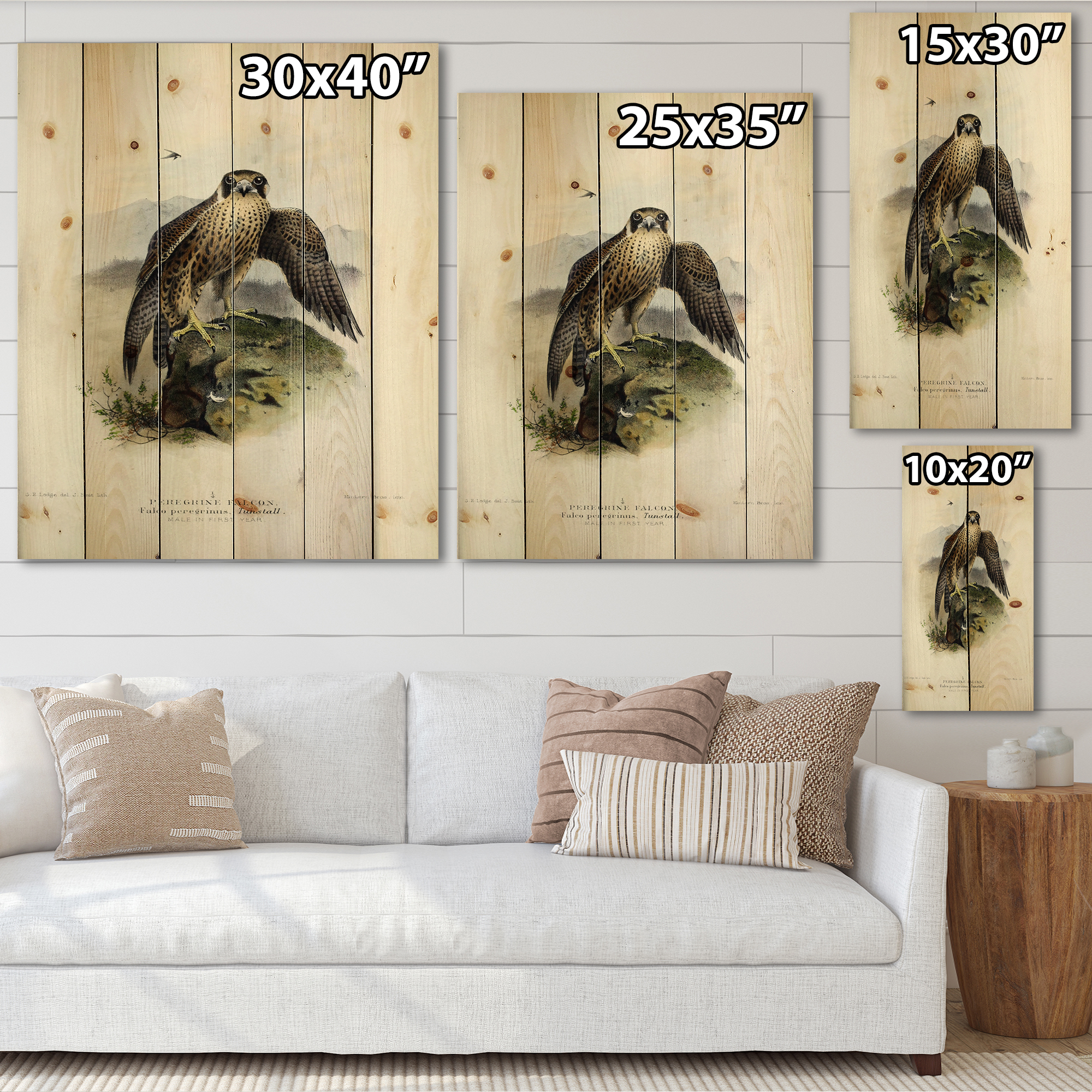Designart 'Ancient Bird Life VIII' Traditional Print on Natural Pine Wood