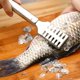 thumbnail image 2 of Ruifaya Herramienta de cocina para quitar escamas de pescado, descalcificador de acero, pelador y raspador, 2 of 6