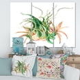 thumbnail image 2 of Designart ' Tropical Leaves Air Plant Succulent On White ' Farmhouse Canvas Wall Art Print, 2 of 3