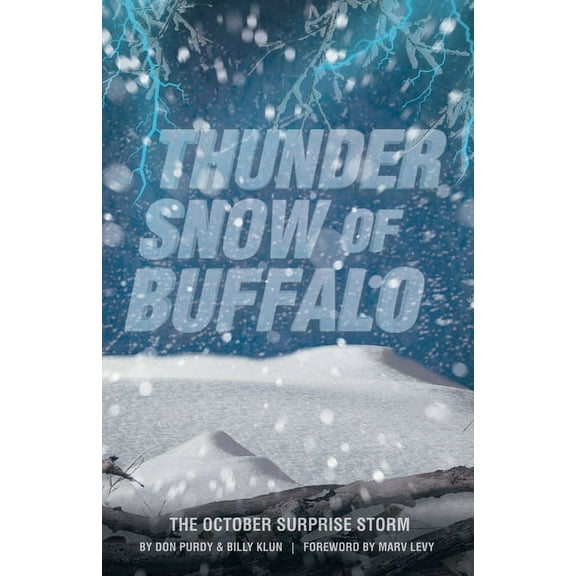 Thunder Snow of Buffalo: The October Surprise Storm, (Paperback)