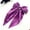 C, variant on siminsem Women Girls Halloween Ribbon Hair Bows Clips Pumpkin Ghost Bat Witch Hat Barrettes Large Bowknot Oversized Party Hair Accessories Styling 1 Pack, F,One Size