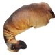 thumbnail image 2 of Almohada con estampado de perro curvado en 3d, Animal realista, cabeza de perro divertida, Cosplay, juguete favorito para niños, 2 of 5
