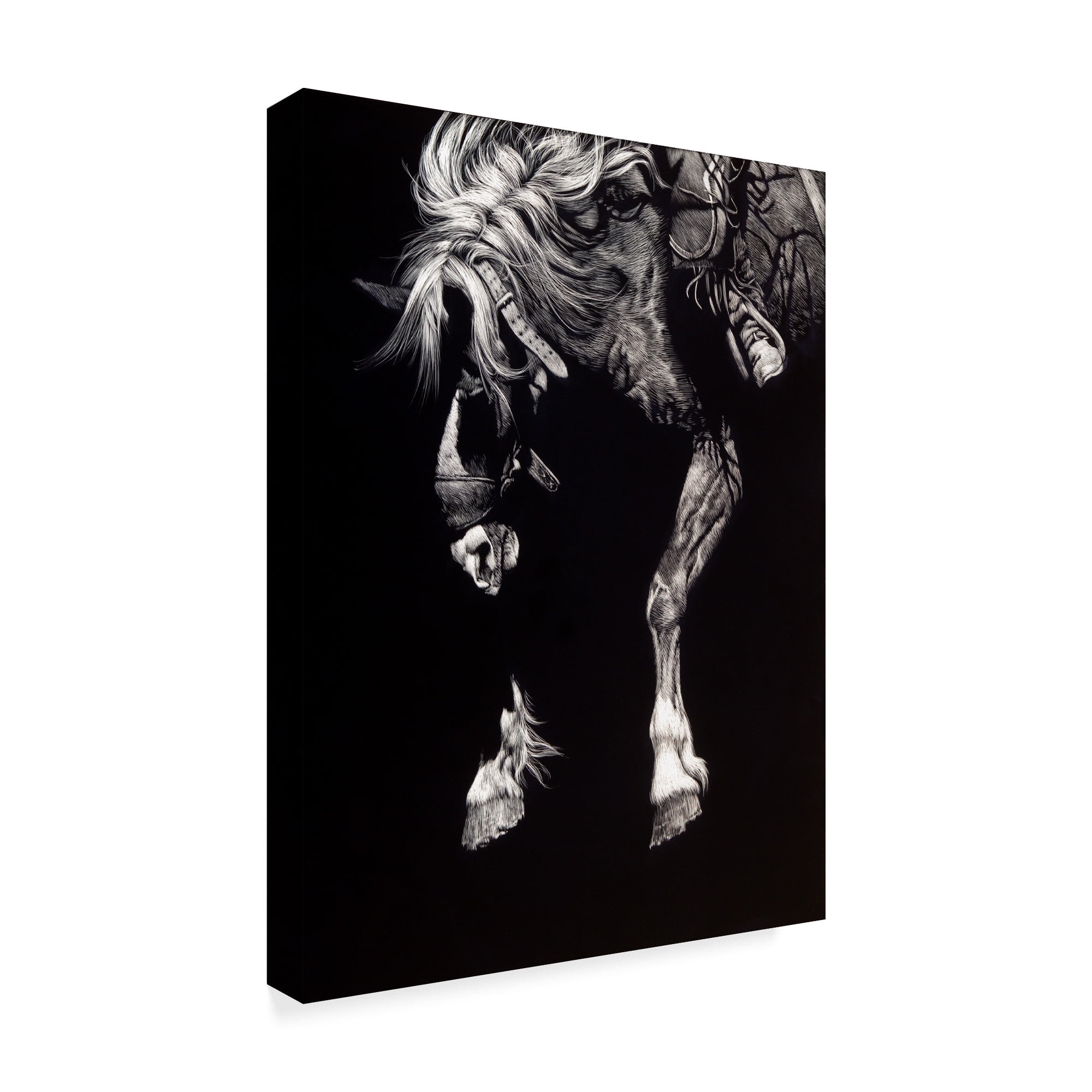 Trademark Fine Art 'Hangin Four' Canvas Art by Julie T. Chapman