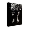 thumbnail image 2 of Trademark Fine Art 'Hangin Four' Canvas Art by Julie T. Chapman, 2 of 4