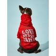thumbnail image 1 of PETSIN Letter Graphic Pet Hoodie, 1 of 4