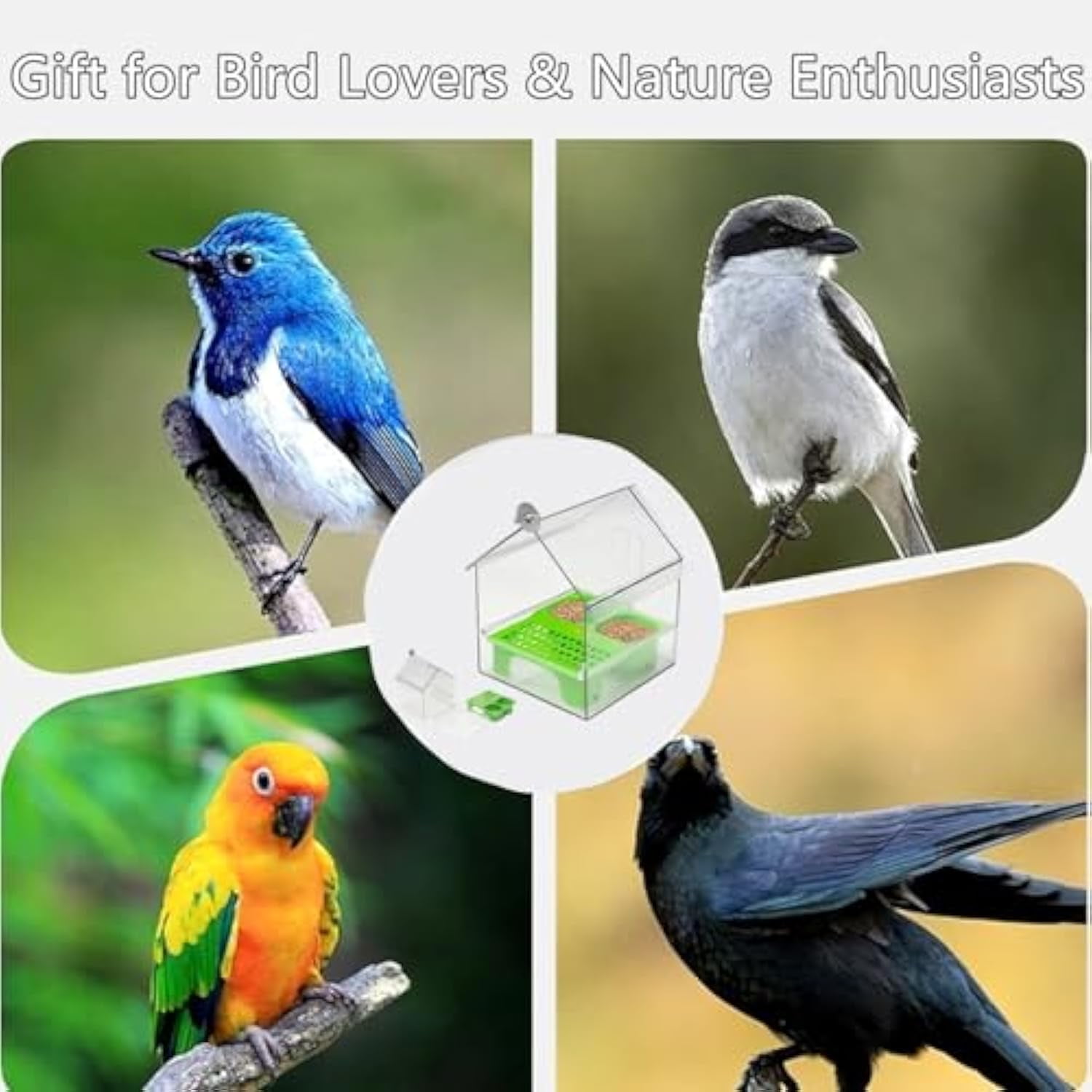 Pull-Out External Parrot Feeder, External Parrot Feeder, Bird Feeder House, Long-Lasting Outdoor Use, Decorative Transparent Bird Bath Tub Easy to Fill, Clean, for Finch and Hummingbird (2pcs-A)