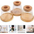 Picture Idea: 3 Sets Hydroponic Glass Vases For Small Plants With Cork