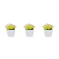 thumbnail image 2 of Advancent Simulación de suculentas, Mini maceta para bonsái, flores falsas, maceta decorativa para el hogar, , jardín, boda, sala de estar, Type1 NO1, 2 of 6