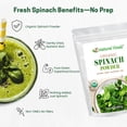 thumbnail image 4 of Z Natural Foods Organic Spinach Powder - 100% Pure & Nutrient-Dense Dried Raw Spinach Leaves for Immune & Energy Boost - Fresh Powdered Vegetable, Supports Eye & Heart Health, Vegan, 1 lb, 4 of 8
