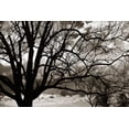 thumbnail image 2 of Hausenflock, Alan 24x17 Black Ornate Wood Framed with Double Matting Museum Art Print Titled - Approaching Storm II, 2 of 4
