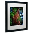 thumbnail image 4 of Trademark Fine Art "Giant Sequoia" Canvas Art by Philippe Sainte-Laudy, White Matte, Wood Frame, 4 of 4