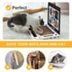 thumbnail image 2 of Centro de Actividades Interactivo para Gatos. Juguete Portátil para Gatos con Ratón de Cartón. Juguete Interactivo para Gatos., 2 of 8